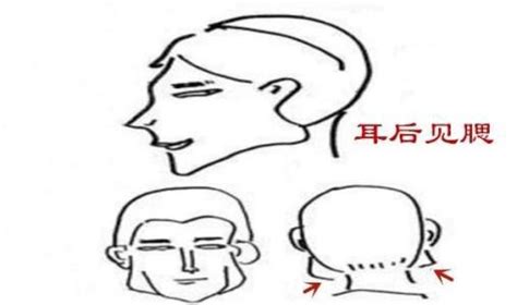 耳後見腮女人|詳解面相中的「反骨」，人身三大反骨你有幾樣？